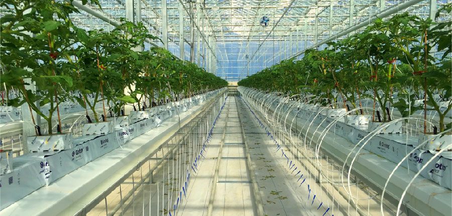 Greenhouse Retrofit
