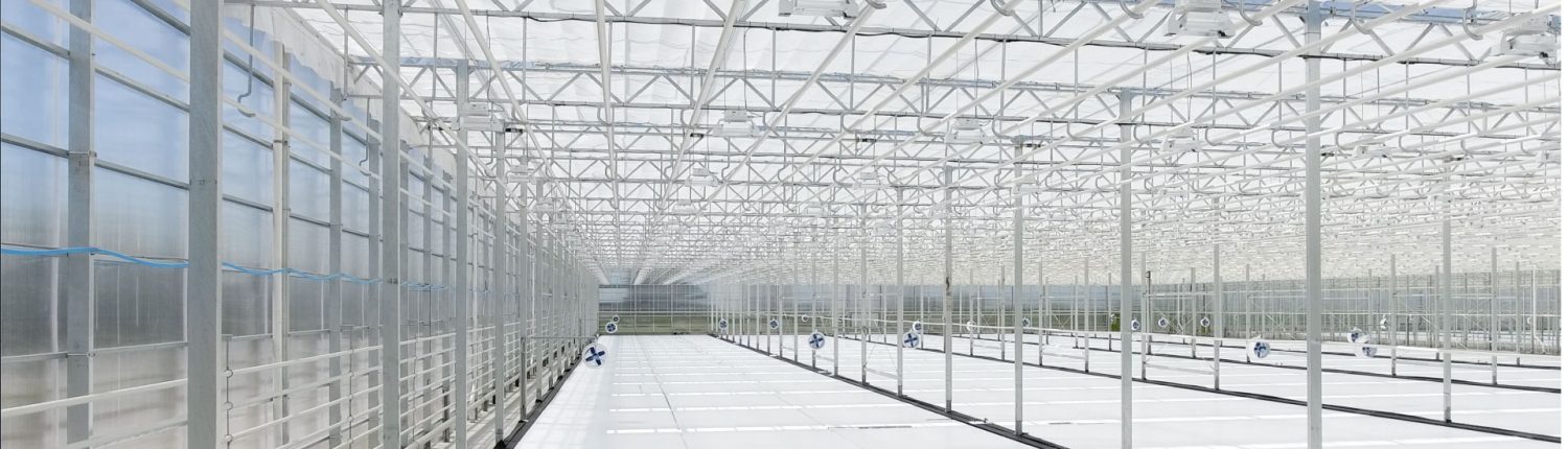 Greenhouse
