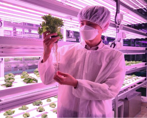 Verticle Farming Facility