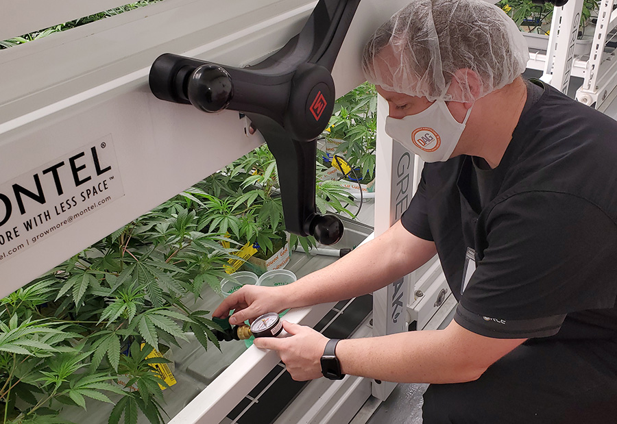 Checking Drip irrigation