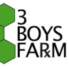 3-boys-farm-420x322-1-300x230 1